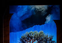 Simone Cristicchi è Franciscus. Il folle che parlava agli uccelli