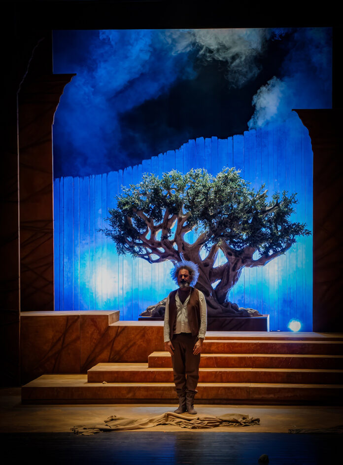 Franciscus_ph Edoardo Scremin (11)