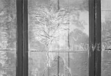 Segni – Fotografia voce dell’invisibile, la prima personale di Marzia Lodi