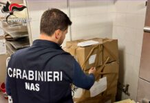 Insetti nella pasta, ispezione dei carabinieri del Nas in un supermercato