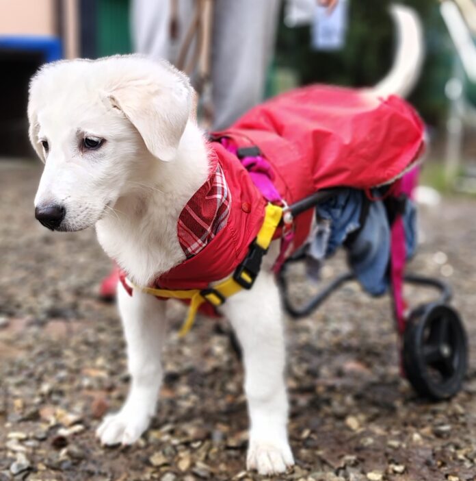 PHOTO-2026-02-20-09-18-53