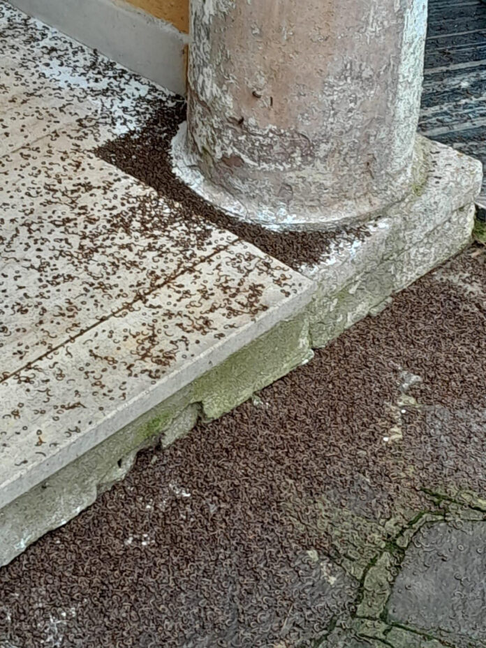 df694695-6e9f-4313-90cd-174be78afcff