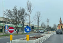 Via Roosevelt, procede la piantumazione