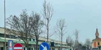 Via Roosevelt, procede la piantumazione