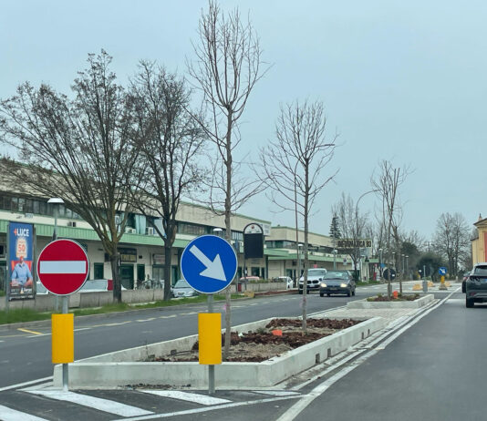 Via Roosevelt, procede la piantumazione