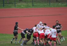Rugby Carpi, i Falchi festeggiano la vittoria