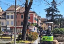 Al via l’intervento nell’area verde di Piazzale Ramazzini