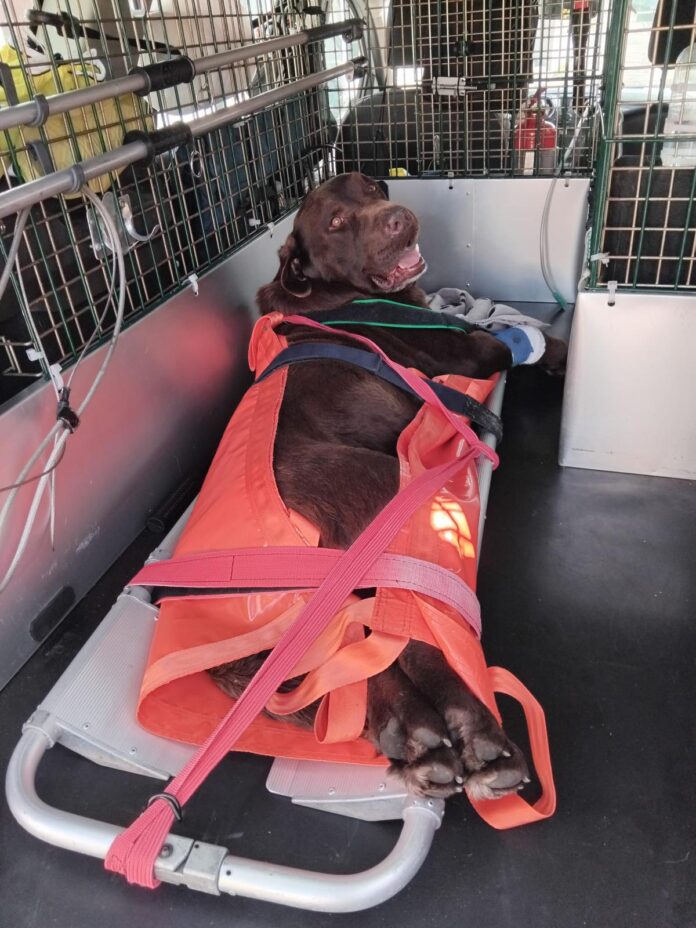 WhatsApp Image 2026-03-25 at 15.22.57 (1)