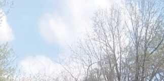 Mai più sole, a Carpi la community WhatsApp che trasforma una passeggiata in un incontro