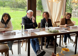 L’arte di essere fragili, Festival Internazionale della Abilità Differenti al via