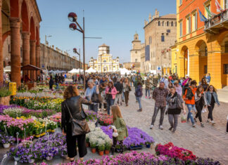 E’ Primavera con Carpinfiore