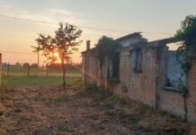 La Pace in Campo, a Fossoli una settimana di formazione per i giovani