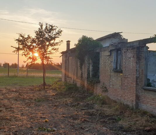 La Pace in Campo, a Fossoli una settimana di formazione per i giovani