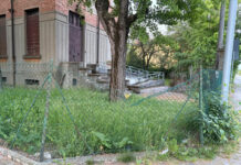 Ex scuole di Santa Croce, “area da ripulire e mettere in sicurezza”
