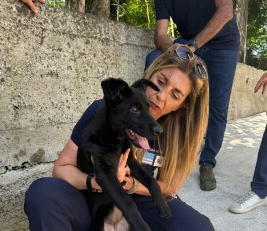 Polizia Locale, è arrivato l’agente Kleo