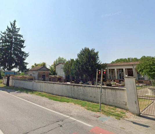 In corso interventi di abbattimento di alberi secchi