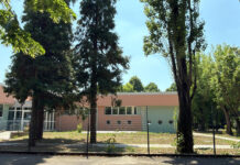 Avvistato un topo, scatta la chiusura della Scuola d’infanzia Muratori di Soliera