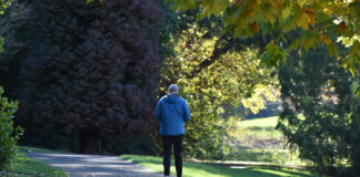 Obesità, 8.500 passi al giorno la strategia chiave per evitare di riprendere peso