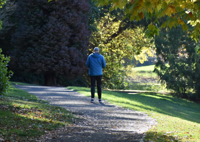 obesita