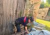 Scarti industriali tessili abbandonati nei campi tra Carpi e Limidi: due denunciati e 81 fusti sequestrati