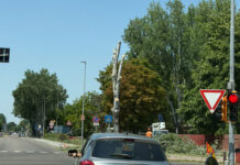 Abbattuti sei alberi, il Comune richiama motivi di sicurezza