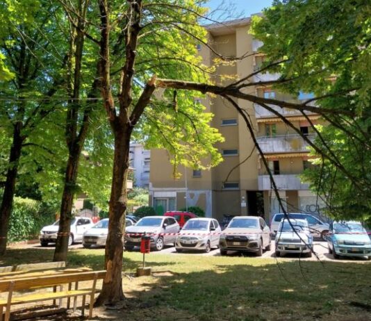 Maltempo, verifiche e interventi nei parchi e sulle strade