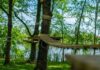 Pronto il parco avventura “Le Linfe”, ma l’apertura slitta: manca l’ultimo ok