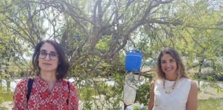 West Nile, piazzate nel modenese dodici trappole per individuare il virus