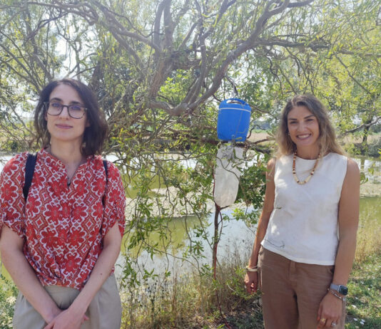 West Nile, piazzate nel modenese dodici trappole per individuare il virus