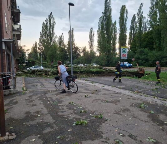 Maltempo, alberi divelti, strade allagate e incendio in San Giuseppe