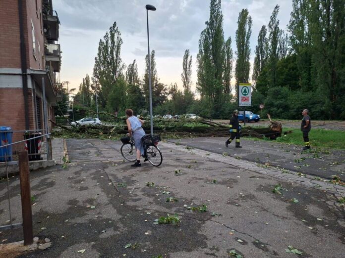 Maltempo, alberi divelti, strade allagate e incendio in San Giuseppe