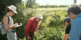 Dal campo alla comunità: natura, cibo sostenibile e solidarietà, cresce il progetto Nutrire la Comunità