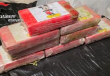 Reggio Emilia crocevia del narcotraffico: smantellata la rete che riforniva il Centro-Nord di cocaina purissima