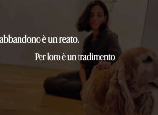 Polizia di Stato, nuovo spot contro l’abbandono degli animali durante il periodo estivo