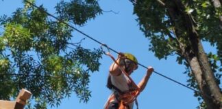 Natura, adrenalina e divertimento a impatto zero: alla scoperta del Parco Avventura Le Linfe