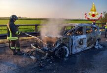 Auto in fiamme sull’A22: intervento dei Vigili del Fuoco, nessun ferito