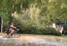Maltempo, disagi sulla rete viaria provinciale a causa di alberi caduti e sottopassi allagati