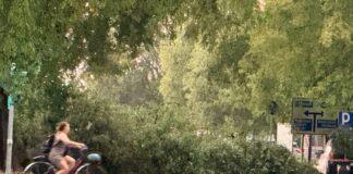 Maltempo, disagi sulla rete viaria provinciale a causa di alberi caduti e sottopassi allagati