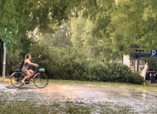 Maltempo, disagi sulla rete viaria provinciale a causa di alberi caduti e sottopassi allagati