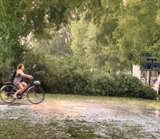 Maltempo, disagi sulla rete viaria provinciale a causa di alberi caduti e sottopassi allagati