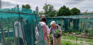 Disturbi alimentari, l’orto come terapia