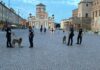 Debutto per la cucciola Kleo durante i controlli nei parchi di Carpi