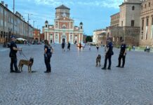 Debutto per la cucciola Kleo durante i controlli nei parchi di Carpi