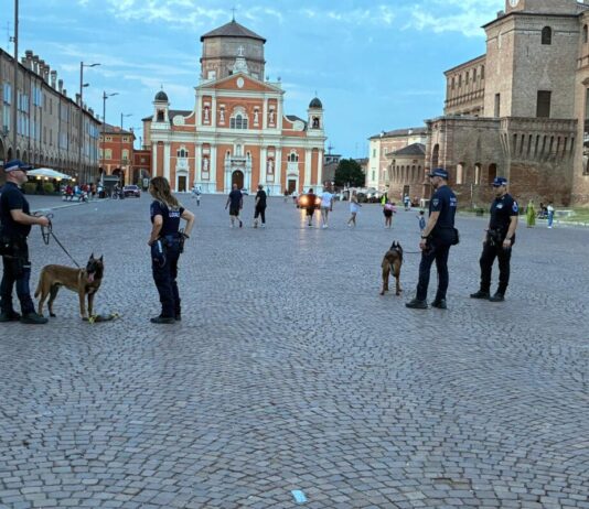 Debutto per la cucciola Kleo durante i controlli nei parchi di Carpi