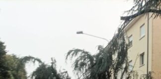 Maltempo, alberi divelti, strade allagate e incendio in San Giuseppe