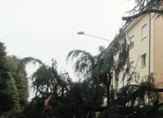 Maltempo, alberi divelti, strade allagate e incendio in San Giuseppe