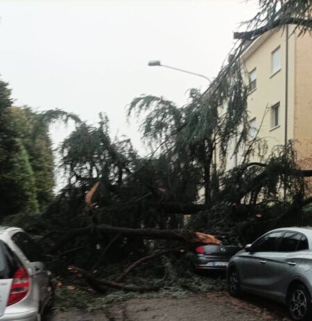 Maltempo, alberi divelti, strade allagate e incendio in San Giuseppe