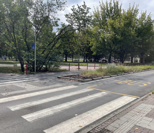 Auto troppo veloci e ciclabili a rischio