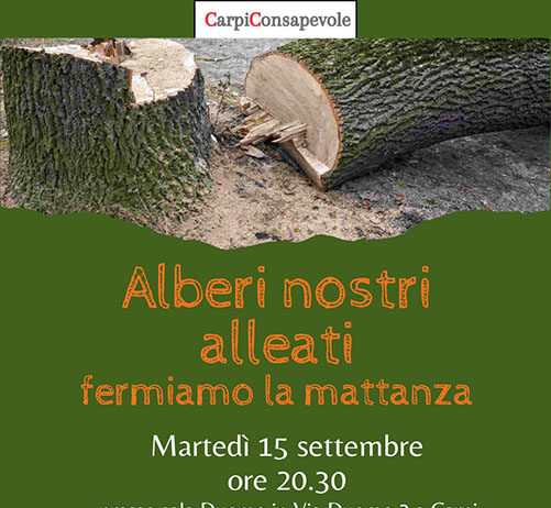 “Gli alberi sono nostri alleati”, CarpiConsapevole riporta il verde al centro del dibattito