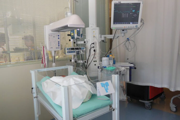 neonatologia